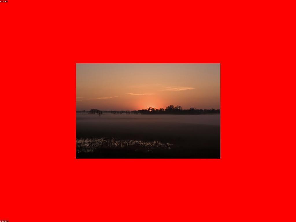 ព័ត៌មានដំណឹង៖ របៀបអនុវត្តន៍និងផលប៉ះពាល់